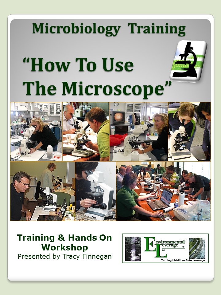 How to use the microscope