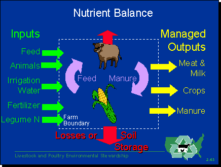 nutrient cycle