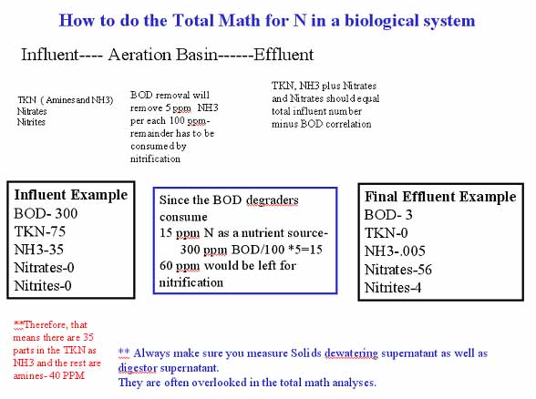 total math balance nitrification