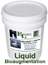MicroSolv L-Marine Liquid Bioaugmentation
